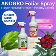 ANDGRO Foliar Spray for Flowering (Desert Rose) &amp; Healthy Leaves Bundle Deal