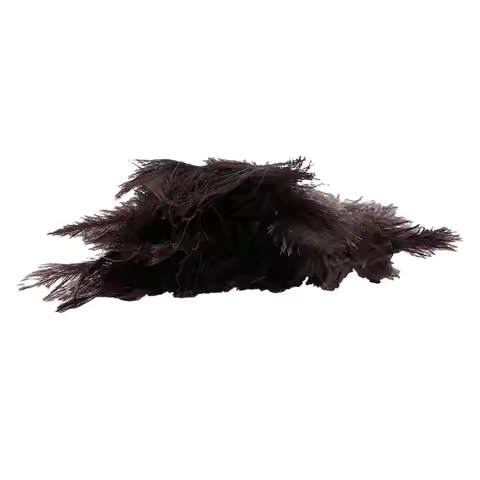AB11-2X Ostrich Cleaning Feather Duster Ostrich Duster Ostrich Feather Duster Soft Feathers