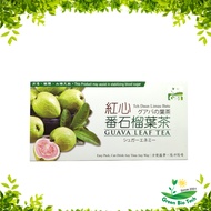 GBT Guava Leaf Tea 红心番石榴叶茶 40g
