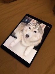 ipad pro 10.5 256gb cellular version