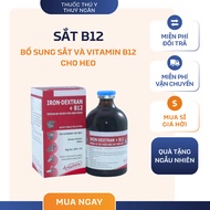 Iron B12 for piglets helps prevent iron deficiency and vitamin B12