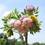 Honeycomb Fruit Single Branch Fennel Honeycomb Fruit Fake Flower Home Placement Wedding Model Room