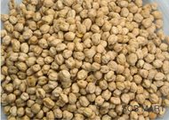 Kacang Kuda 1KG 白马豆