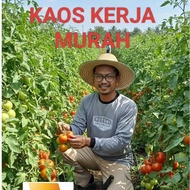 Long Sleeve Work T-shirts, (PLS) long sleeve t-shirts for work, farmer t-shirts, ngarit t-shirts, co