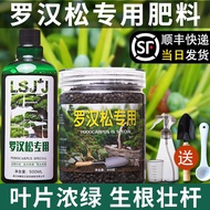 Six Element Nine plus Nine Podocarpus Macrophyllus Special Fertilizer Potted Organic Fertilizer Nutrient Soil Long Leaf