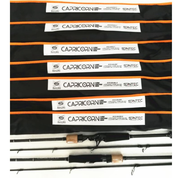 SANTEC CAPRICORN SPINNING / CASTING / UL BASS FISHING ROD