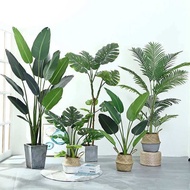 Artificial Olive Tree 50cm(1.6FT)-210cm(6.9FT) | Pokok Hiasan Fruits/Leaves, Ready Stock MY