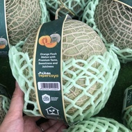 Melon Fujisawa Orange Sunpride Premium -+ 1,5 kg