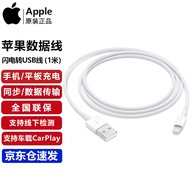 Apple苹果USB数据线原装iphone充电线Lightning/闪电转USB连接线XR/6/7/8p/11/ipad平板手机电源线 闪电转USB转接线充电线1米【单线不含头】