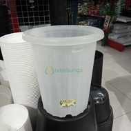 19cm 19cm Clear Plastic Pot Unique Transparent Flower Ornamental Plants