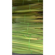 daun ketupat palas / daun palas