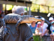 Australian Reptile Park Tickets