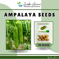 AMPALAYA SEEDS (10pcs seeds) LONG/HYBRID/EASY TO GROW