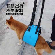 [Store Discount] Pet Dog Auxiliary Belt Dog Leg Injury Auxiliary Products Pet Old Dog Injury Dog Aux