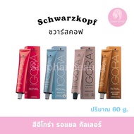 Schwarzkopf Igora Royal Color อีโกร่า คัลเลอร์ ครีม ( ไม่รวมดีเวลลอปเปอร์..!! )