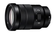 彩色鳥(租鏡頭 租攝影機 租相機)Sony E PZ 18-105mm F4 G OSS NEX6 NEX5N VG900 FS700