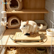 [Predolo] Hamster Running Wheel Glass 28 Cm Smooth Quiet Spin Wood Base Stable Non Slip Exercise Toy