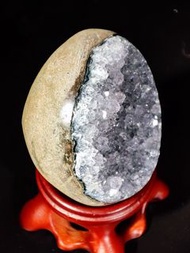 烏拉圭紫藍色迷你恐龍蛋