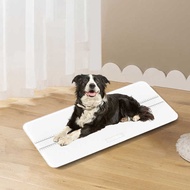 Manufacturer Large Cat Dog Weight Scale Special Scale 100kg Animal Weight Precise Weight Scale