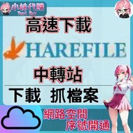 【現貨+開發票】小妹代購 代下 下載 代抓 抓檔案 雲端 網盤 免空 中轉站 harefile