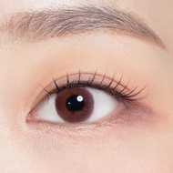 X2 Bio Softlens - Brown Byonce