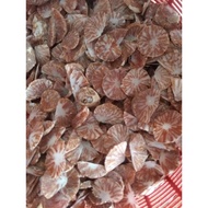 Buah Pinang Kacip Kering nipis Dried Areca Nut / Betel Nut / 槟榔 / lugus