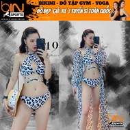 Women's 2-Piece Elastic Bikini, Chiffon Robe Outerwear Women's Swimwear Bin Sports BHV141