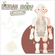 HUMAN BODY MODEL