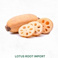 Akar Teratai (Lotus Root) 500gr