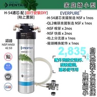 愛惠浦 - PENTAIR EVERPURE H54 濾芯x1[枱上套裝配自行安裝DIY] H-54 愛惠浦 (EV973006) 濾芯 通用 H-104 H104[濾芯:新/舊包裝隨機發送]