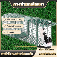 ✨กรงดักแมวจร (ไซส์ M-2XL)กรงแมวขนาดใหญ่ราคาถูก กับดักแมวพับได้ใช้ง่ายไม่ต้องประกอบเหล็กเส้นชุบกาวาไน