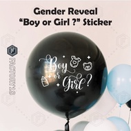 Gender Reveal Boy Or Girl Balloon Sticker Surprise Sticker Baby Gender Reveal