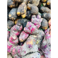 1KG UBI BADAK |  PUTIH | UBI BADAK PURPLE | UBI MUSIM TENGKUJUH