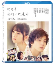 那些年, 我們一起追的女孩 BD (日版)