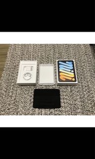 Ipad mini 6 LTE 64G 極新