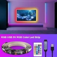 LAMPU LED STRIP 5050 RGB WATERPROOF COLORFUL 5V + REMOTE