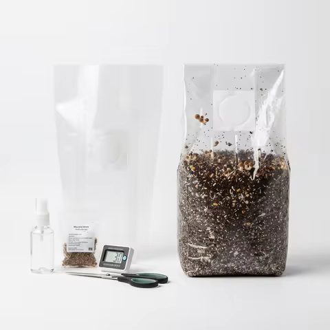 50 Pcs 6 mm PP Mushroom Planting Bag 0.2um Filter Clear Edible Mushroom Breathable Bag Mushroom Spaw