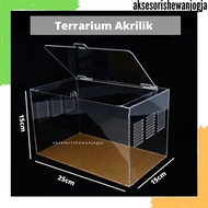 Aquarium Reptil Akrilik | Vivarium Acrylic | Terarium untuk Tarantula | Gecko | Tanaman