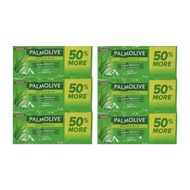 Palmolive Naturals Shampoo Bundle by 12 Sachet 15ml per Dozen