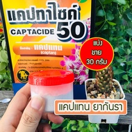 ยากันราแคปแทน (Captan - Captacide 50) ยากันเชื้อราแคคตัส  ราในกระบองเพชร ไม้อวบน้ำ  ไม้ประดับ ยาเพาะเมล็ด แบ่งขาย 30 g