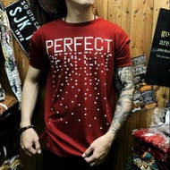 T-shirt 4130 PERFECT