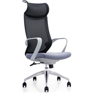 Modern Mesh Ergonomic Office Chair NEO HIGH