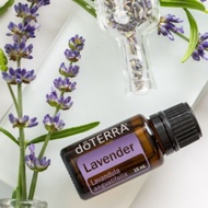 น้ำมันลาเวนเดอร์ Lavender oil ของแท้ ออแกนิค น้ำมันหอมระเหย กลิ่น ลาเวนเดอร์ หอม ดอกไม้ กลิ่นผ่อนคลา
