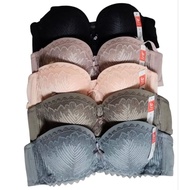 Elena Push Up Bra Lace Underwire E 22011 Size 34B-38B