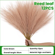 Buy-1-Take-1 Alldram Pampas Grass Large Pampas Grass 80cm/110cm/120cm Tall Pampas Grass for Floor Va