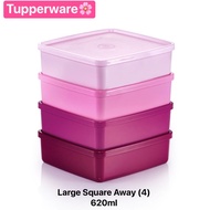 กล่องใส่อาหาร Tupperware รุ่น Large Square Away (1ใบ) 620ml สุ่มสี