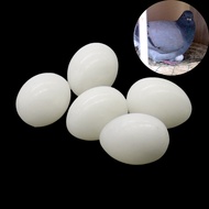 5 Pcs Simulation Bird Eggs Fake Pigeon Egg Nest Hatching Eggs Aviculture Tools Laying Eggs Props Pet