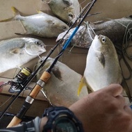 Perambut  T light bottom dan T special Bawal kolam,ikan apollo..