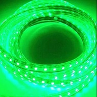 HIJAU Green SMD 5050 led strip lights / meter led lights / flapon lights / led ceiling lights