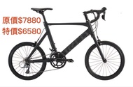 Tern Surge 451 小輪徑成車